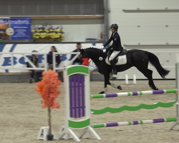 Reitturnier Borken 2022