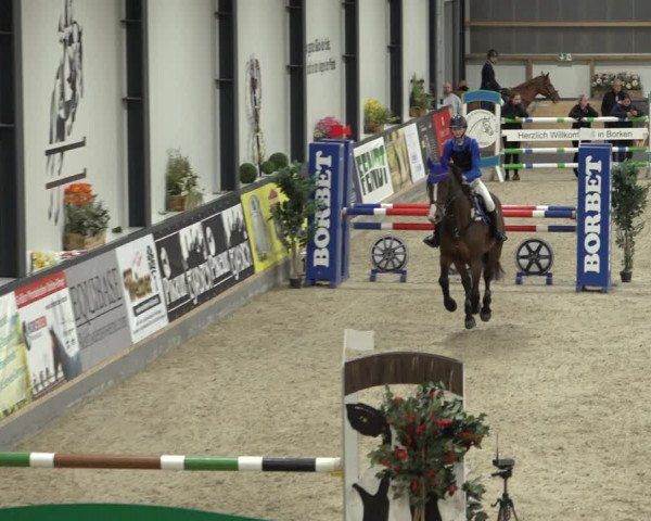 Reitturnier Borken 2022