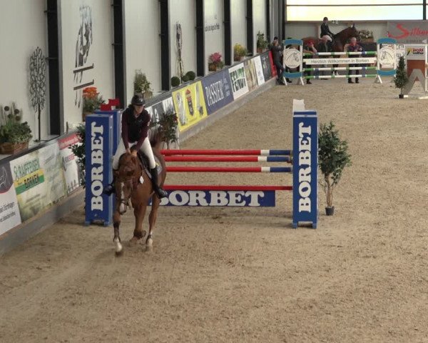 Reitturnier Borken 2022