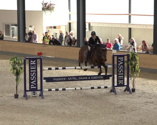 Reitturnier Borken 2022