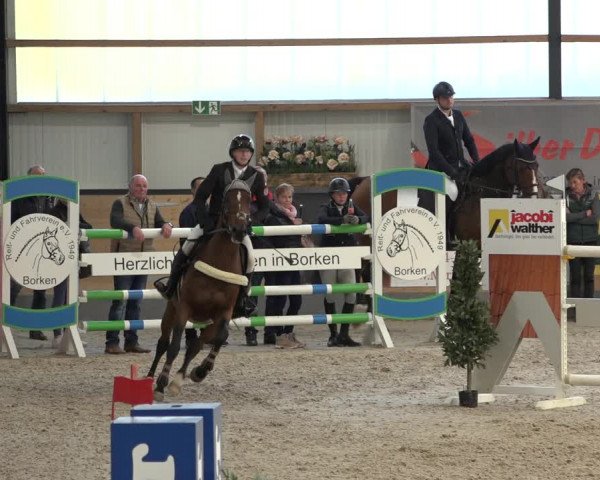 Reitturnier Borken 2022