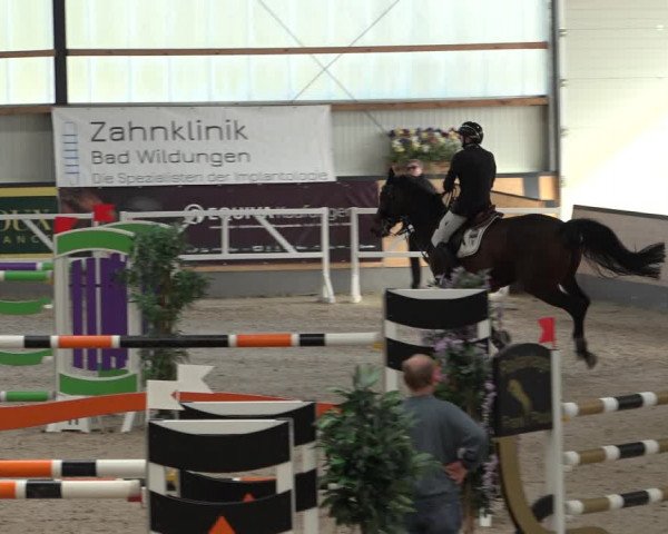 Reitturnier Borken 2022