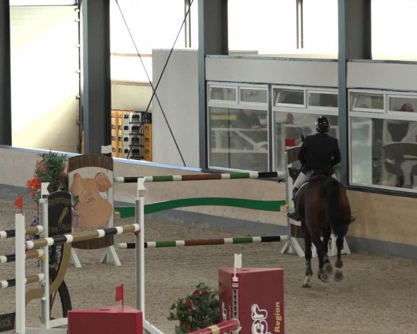 Reitturnier Borken 2022