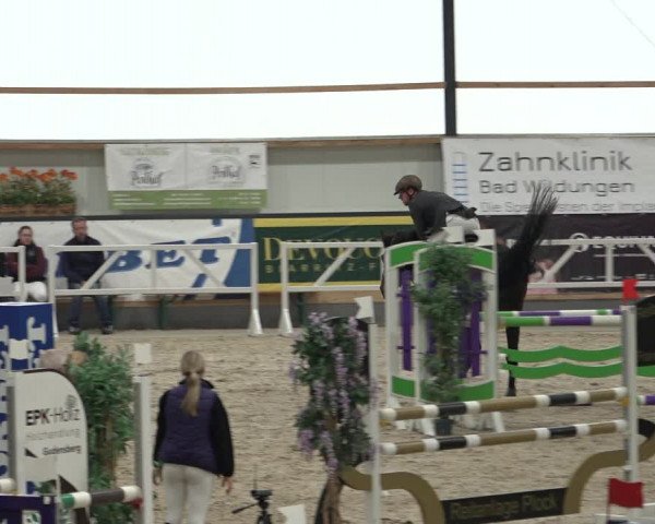Reitturnier Borken 2022