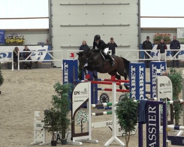 Reitturnier Borken 2022