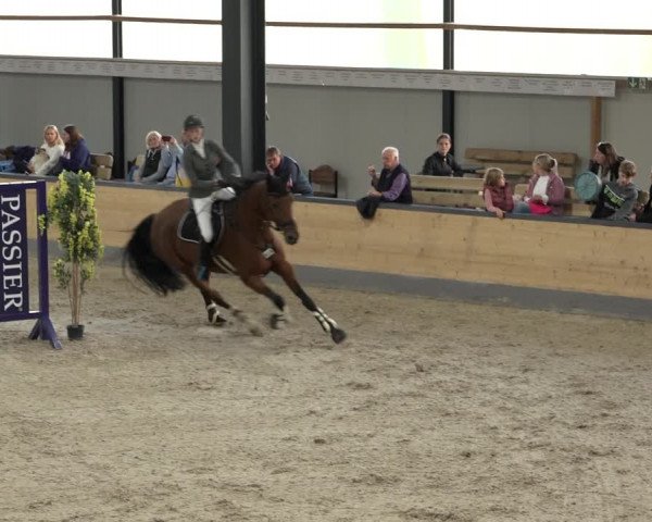 Reitturnier Borken 2022
