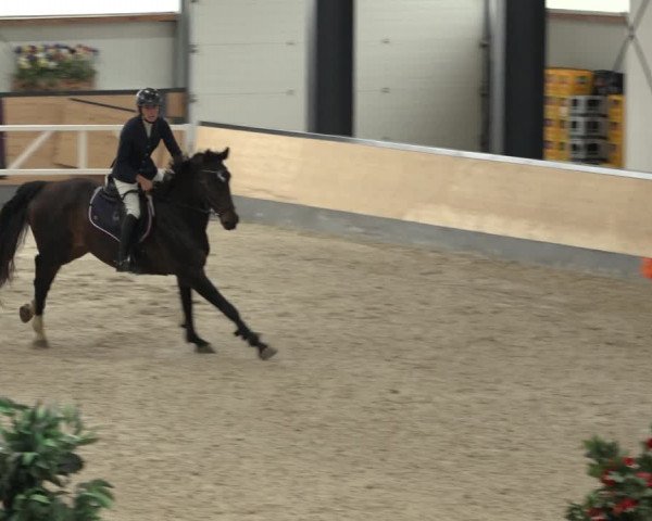 Reitturnier Borken 2022