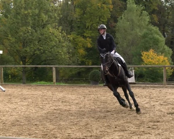 Reitturnier Diessen 2022