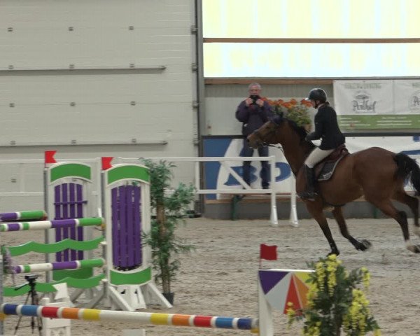 Reitturnier Borken 2022