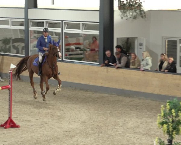 Reitturnier Borken 2022