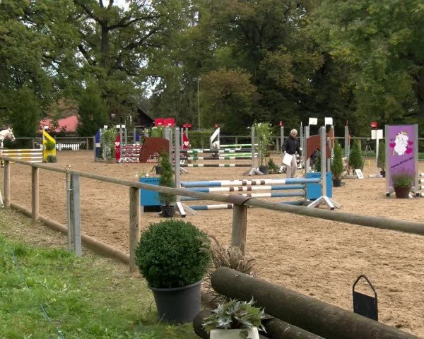 Reitturnier Diessen 2022