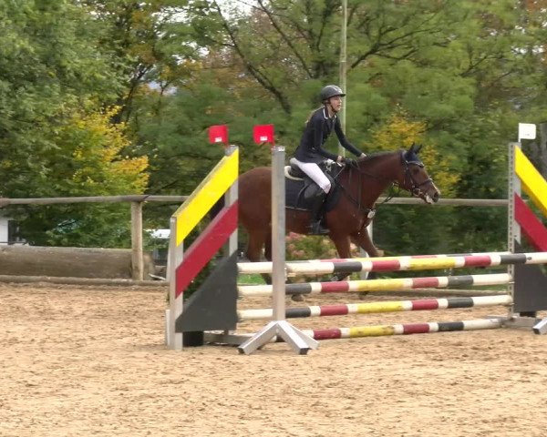 Reitturnier Diessen 2022