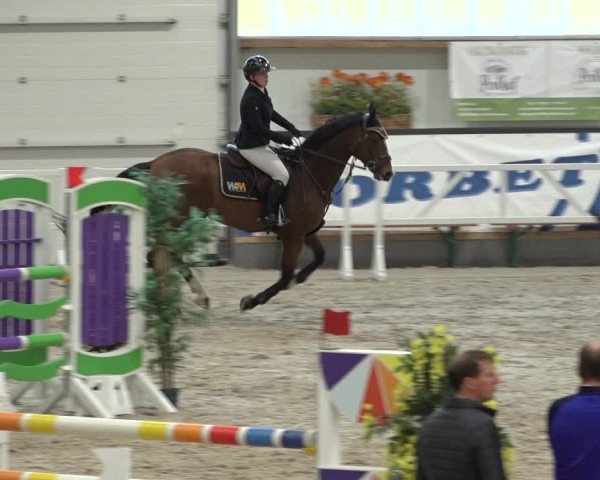 Reitturnier Borken 2022