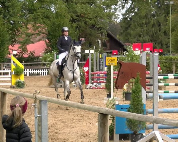 Reitturnier Diessen 2022