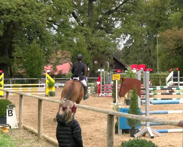 Reitturnier Diessen 2022