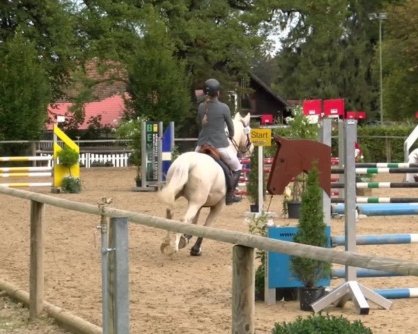 Reitturnier Diessen 2022