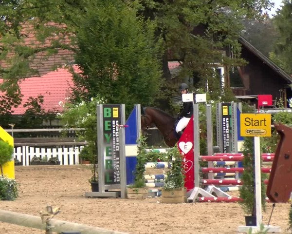 Reitturnier Diessen 2022