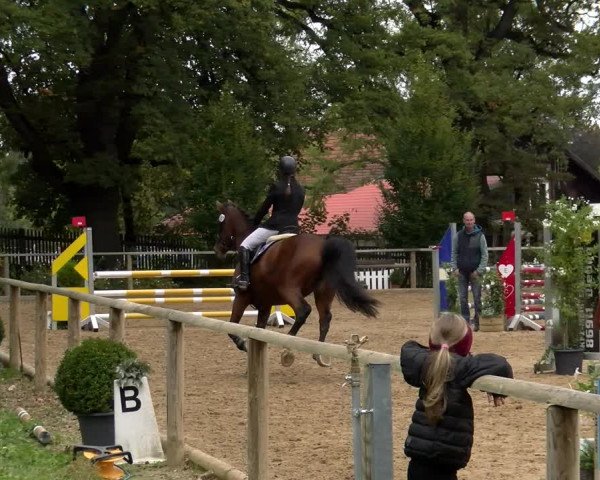 Reitturnier Diessen 2022