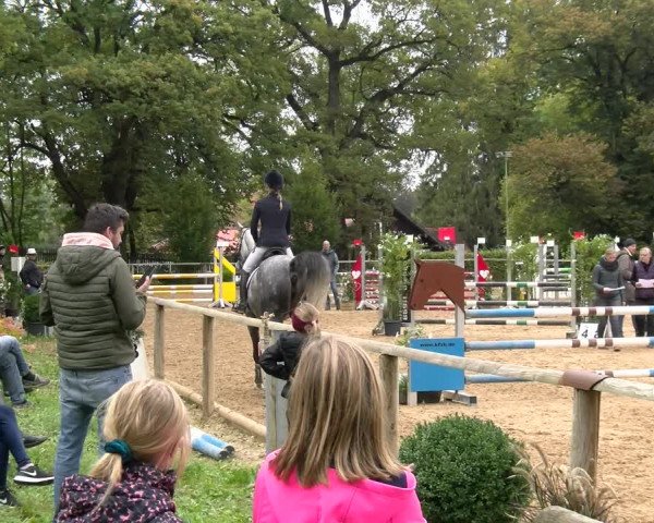 Reitturnier Diessen 2022