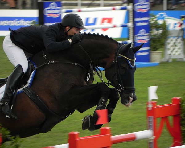 jumper Elton John 9 (Hanoverian, 1999, from Acorado I)