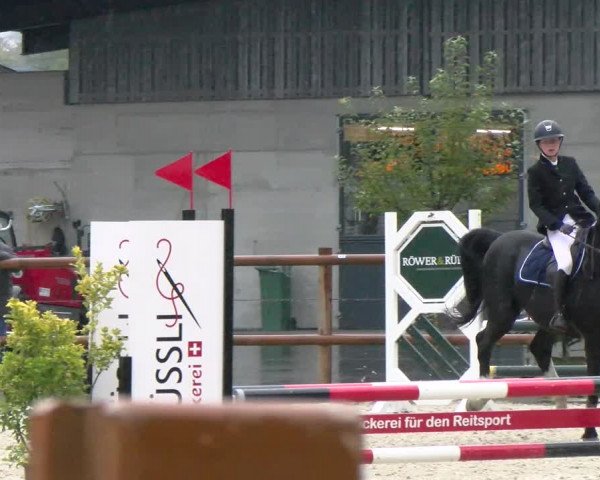 Reitturnier Felsberg 2022