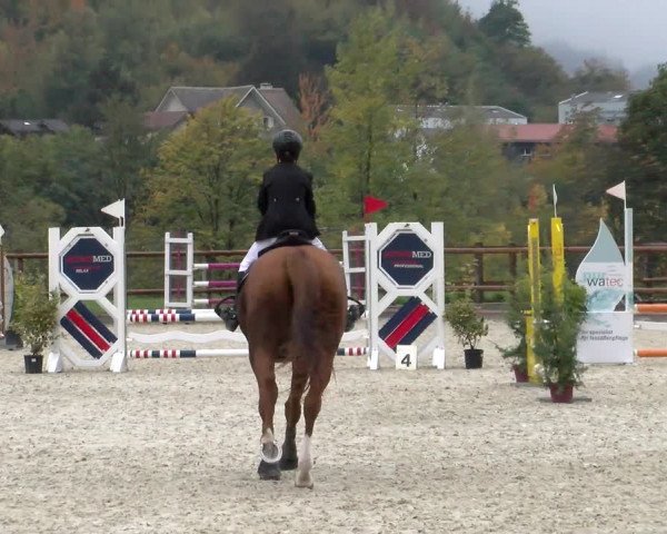 Reitturnier Felsberg 2022
