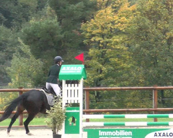 Reitturnier Felsberg 2022