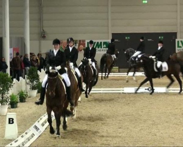dressage horse My little joe (Hanoverian, 1997, from Metternich)
