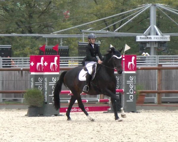 Reitturnier Felsberg 2022
