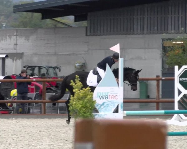 Reitturnier Felsberg 2022