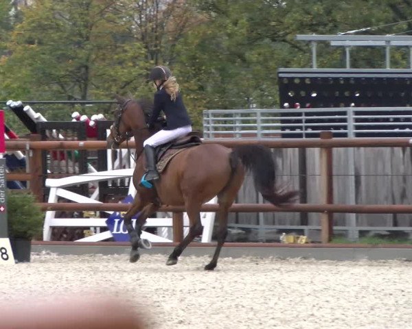 Reitturnier Felsberg 2022