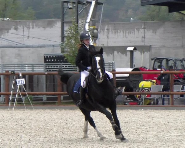 Reitturnier Felsberg 2022