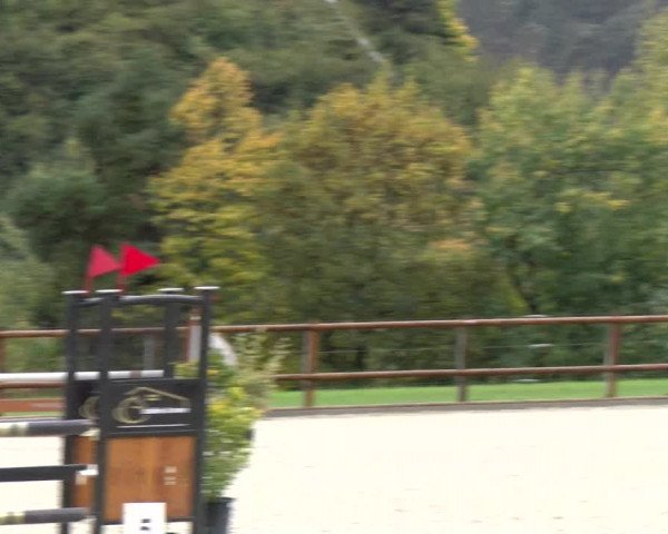 Reitturnier Felsberg 2022
