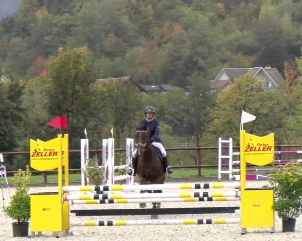 Reitturnier Felsberg 2022