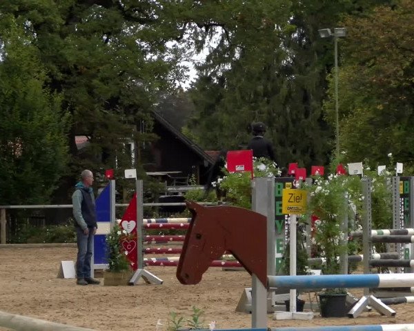 Reitturnier Diessen 2022