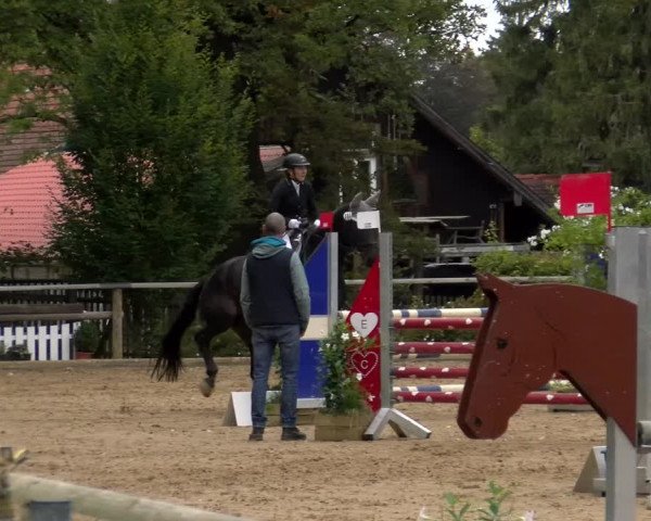 Reitturnier Diessen 2022