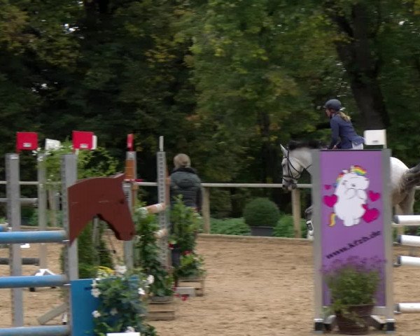 Reitturnier Diessen 2022