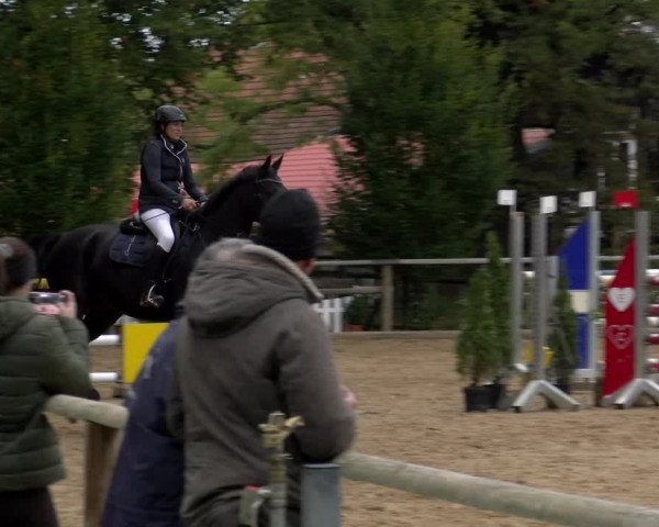 Reitturnier Diessen 2022