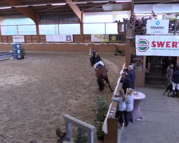 Reitturnier Xanten - Reitanlage Miss 2022