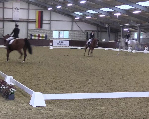 Reitturnier Kirchhellen 2022