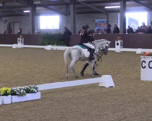 Reitturnier Kirchhellen 2022