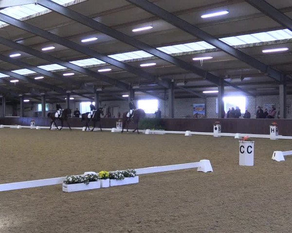 Reitturnier Kirchhellen 2022
