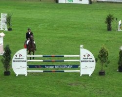 jumper Vintovara (Holsteiner, 2005, from Clinton I)