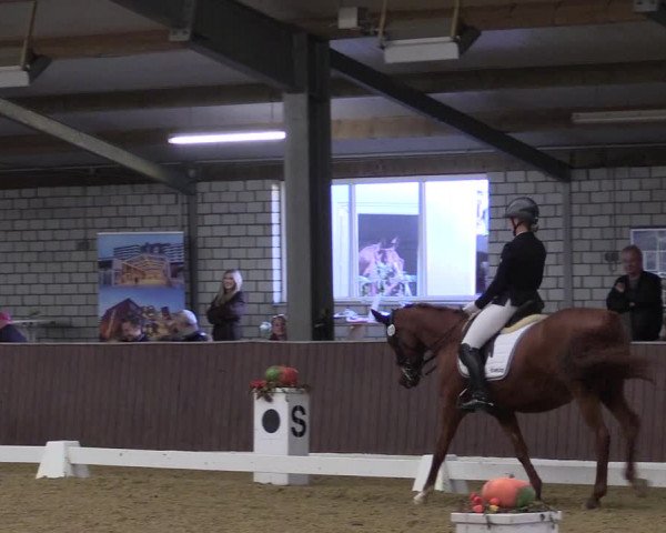 Reitturnier Kirchhellen 2022