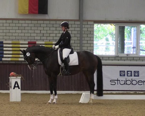 Reitturnier Kirchhellen 2022