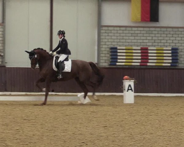 Reitturnier Kirchhellen 2022