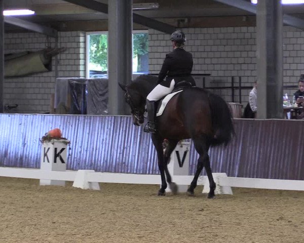 Reitturnier Kirchhellen 2022