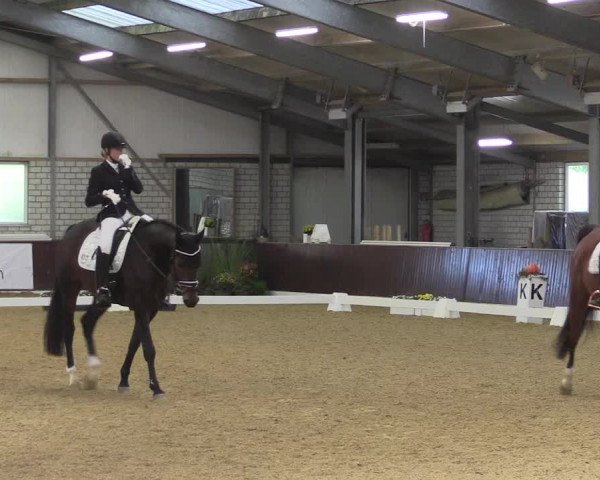 Reitturnier Kirchhellen 2022