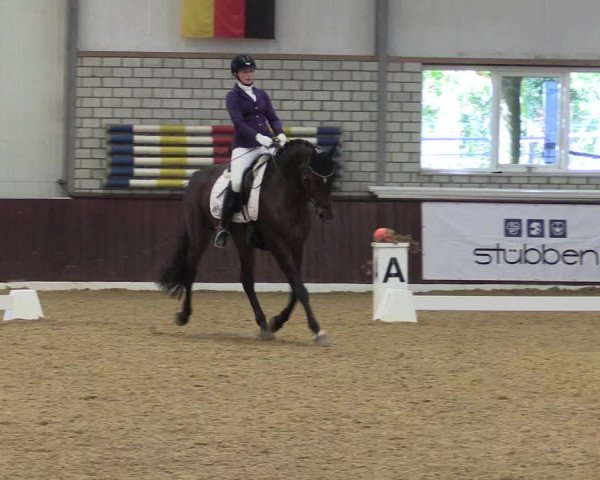 Reitturnier Kirchhellen 2022
