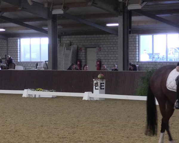 Reitturnier Kirchhellen 2022